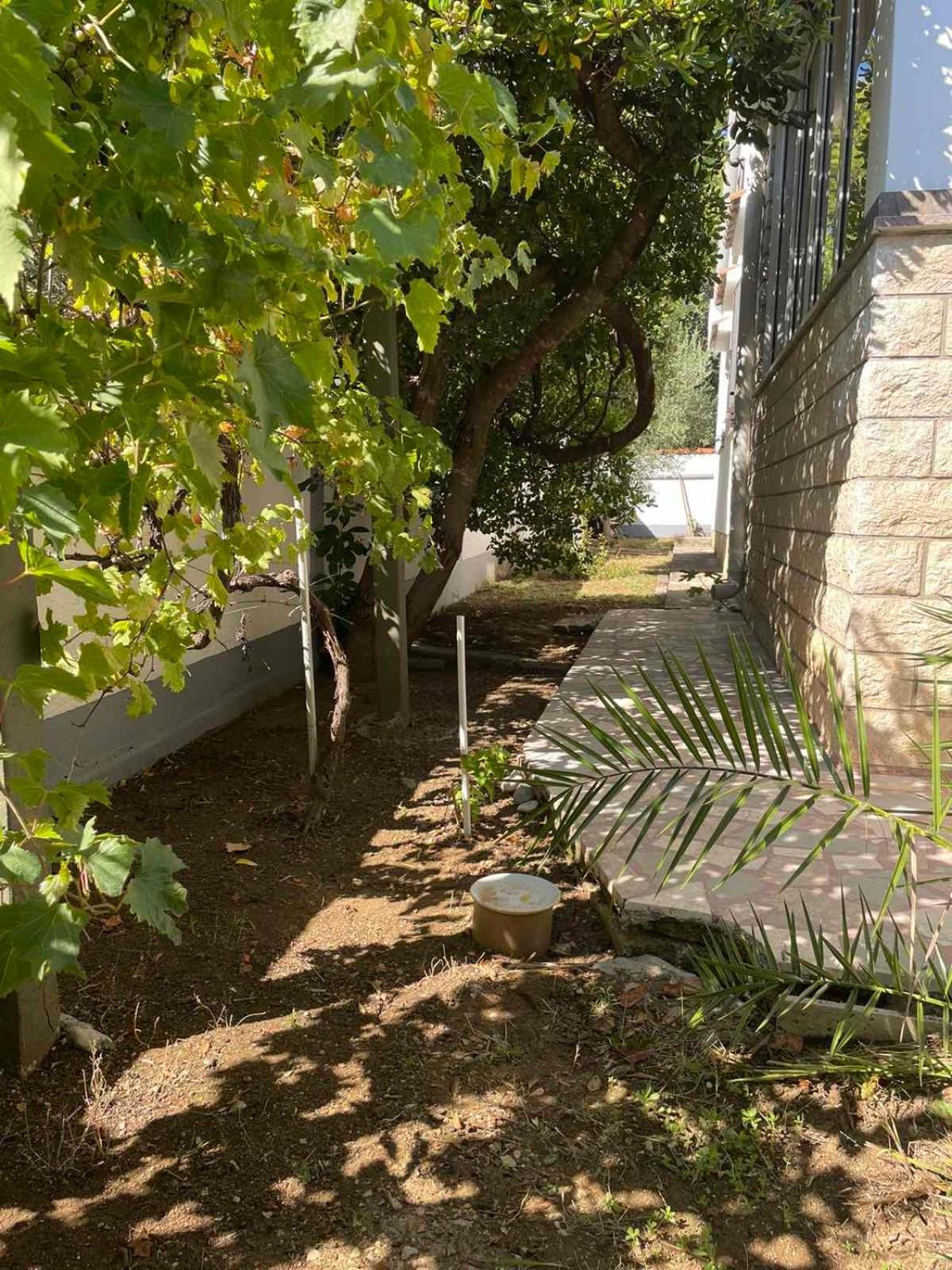 Villa Pagar - With Jacuzzi - Renovated In 2022 Povljana Exterior photo