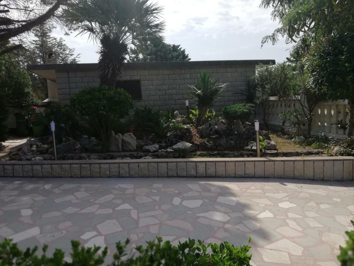 Villa Pagar - With Jacuzzi - Renovated In 2022 Povljana Exterior photo